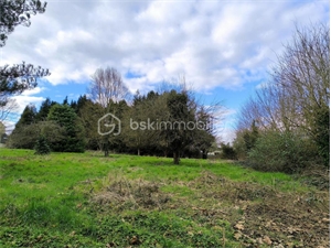 terrain à la vente -   72150  LE GRAND LUCE, surface 4300 m2 vente terrain - UBI474872561